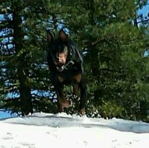 Meet your Posher, Anthony